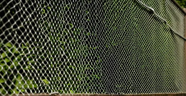 Clôture et grillage rigide : la solution idéale pour votre jardin